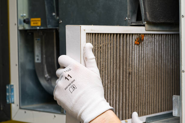 Best General Air Duct Cleaning  in Punta Gorda, FL