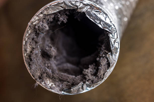 Best Air Duct Cleaning Near Me  in Punta Gorda, FL