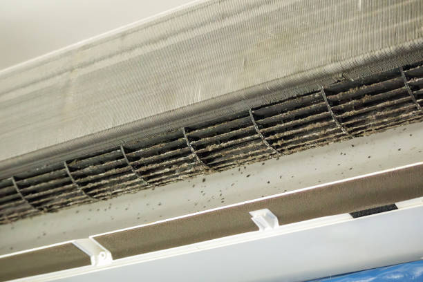 Best Ductwork Cleaning Services  in Punta Gorda, FL